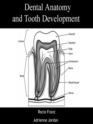 cover image of Dental Anatomy and Tooth Development